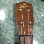 The Gibson
