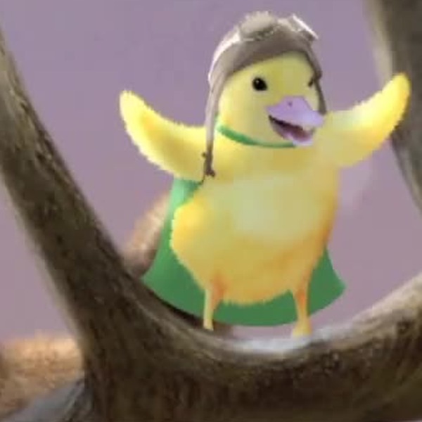 Save the Baby Birds